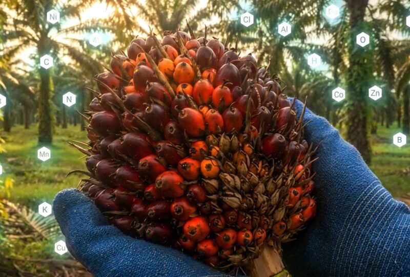 gambar_ulang_foto_202604231616